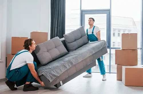 Berlin-Pankow zieht um – mit den Profis